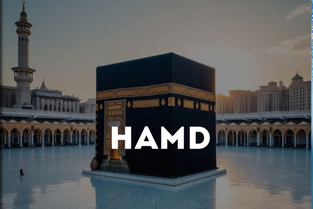 photo 2025 12 07 02 15 46